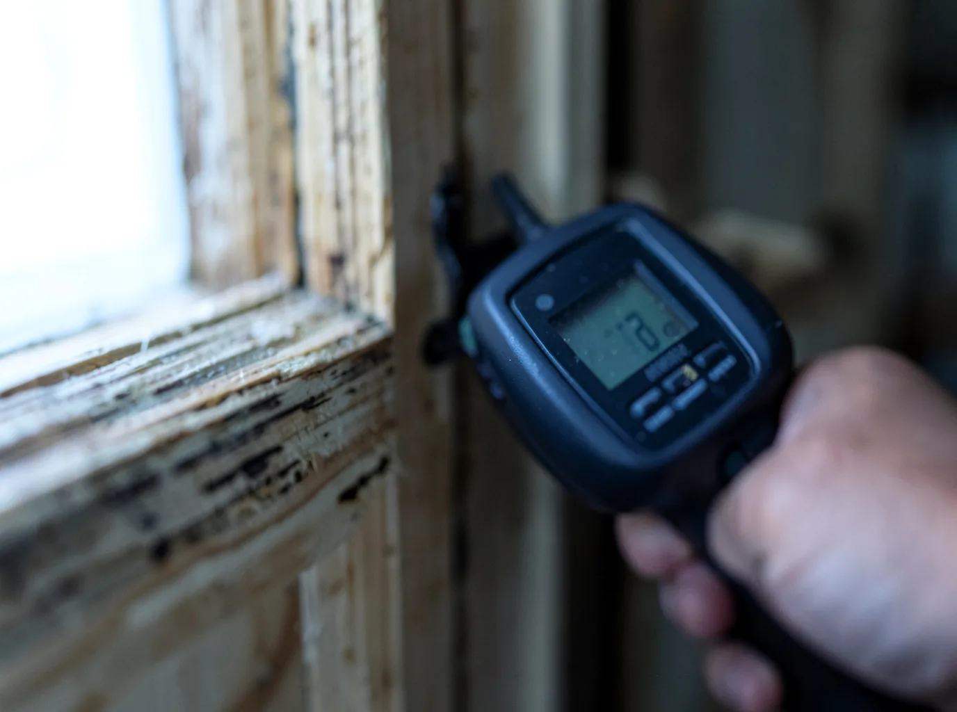 Moisture Inspection And Documentation in Danville, KY